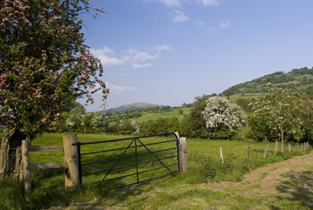 A view from the barn Image of a view from the barn