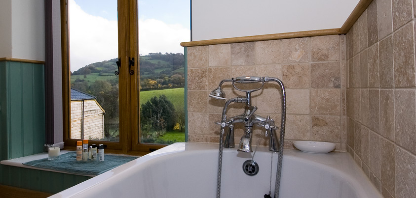 Bathroom with a view