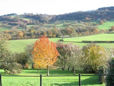 Autumn in Trevyr