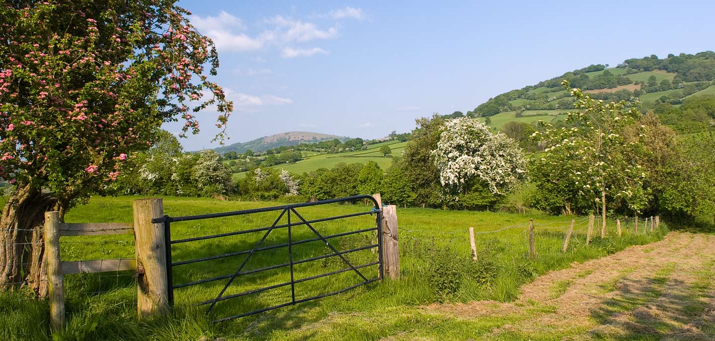Trevyr Barn, kitchen