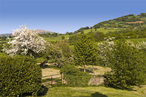 Spring at Trevyr Barn