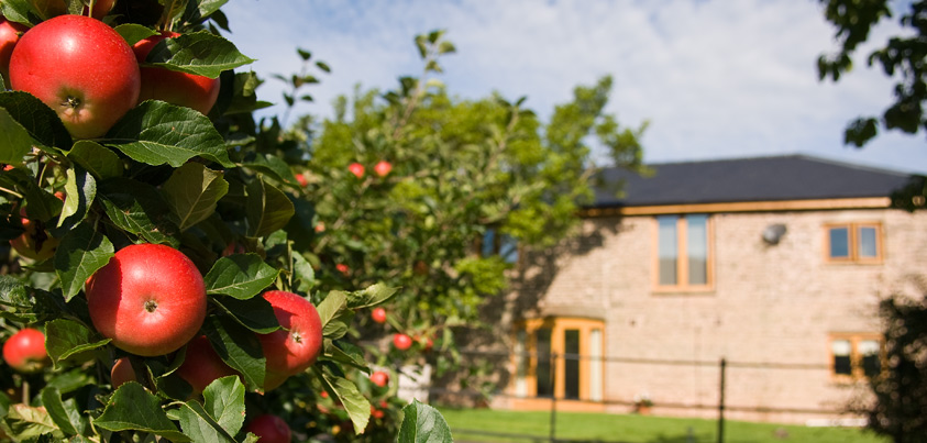 Trevyr Barn, view from the orchard
